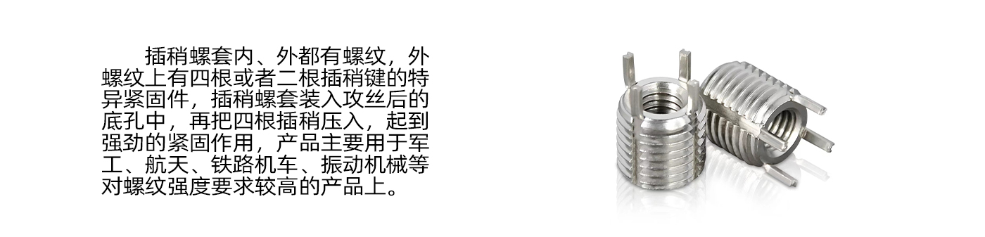 插銷(xiāo)螺套介紹.jpg